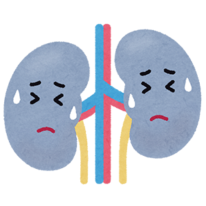 慢性腎臓病について